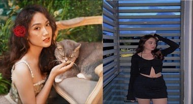 เทคนิคผ้าห่มผักสีเขียวร้อนล่าสุด